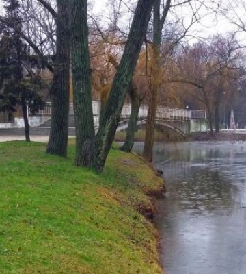 Як виглядає взимку головний парк Запоріжжя - фото