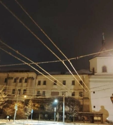 Повалило 128 дерев, пошкоджено 15 машин: у мерії розповіли про наслідки негоди у Львові