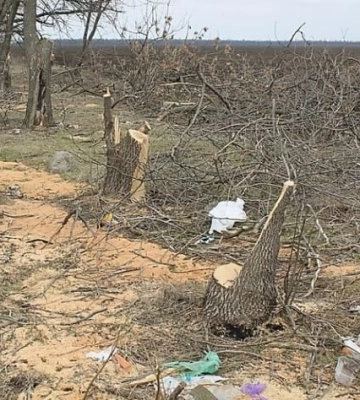 ЗСУ підсмажили два лігва окупантів у Запорізькій області – ЗМІ