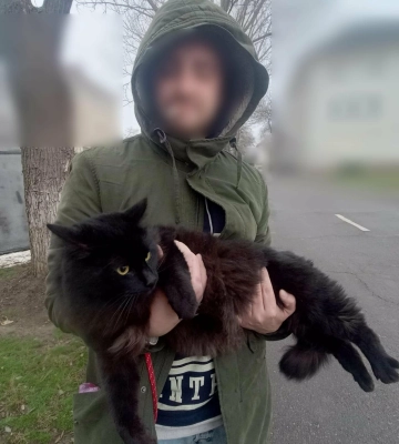 На Одещині затримали 28-річного чоловіка, який з котом прямував до Молдови