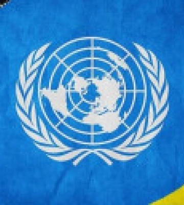 ООН: через війну в Україні загинуло або поранено понад 17 тисяч людей