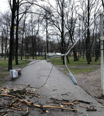 Наслідки негоди: в одному з парків Дніпра впало дерево та зламався ліхтар