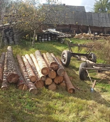 На Сарненщині судитимуть двох обвинувачених у незаконній порубці лісу в заповіднику