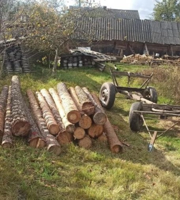 Рубали дерева у заказнику. На Рівненщині судитимуть двох чоловіків за незаконну порубку лісу