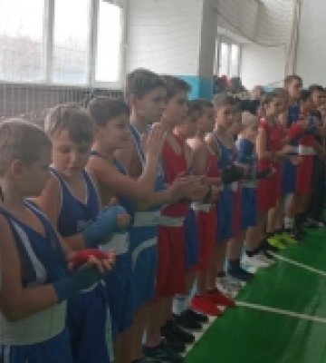Юні луцькі боксери стали призерами турніру в Острозі