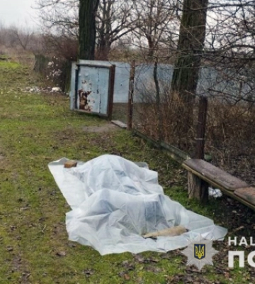 У Запорізькій області під час ворожого артобстрілу загинула літня жінка