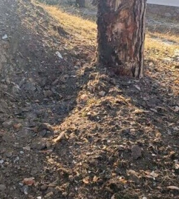 В ноябре россия обстреляла приграничье Украины 230 раз, с начала декабря - 70