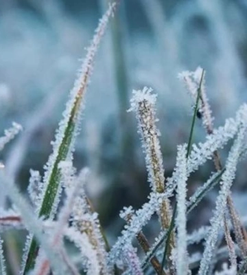 16 грудня температура повітря у Дніпрі може опускатися до -4°