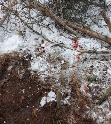 На Киевщине у границы с Беларусью взорвалась мина, есть раненый