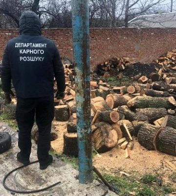 На Одещині припинили незаконну порубку дерев