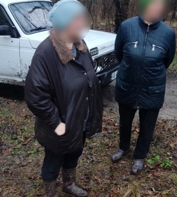 Сезон встановлення новорічних ялинок на Дніпропетровщині розпочали правопорушеннями