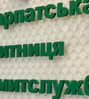 Закарпатська митниця: що найчастіше вилучали за цей рік