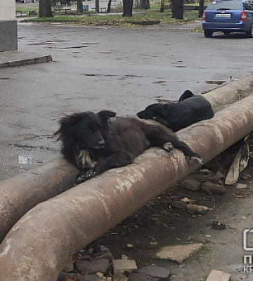 В Кривом Роге заменят 13 километров сетей теплоснабжения