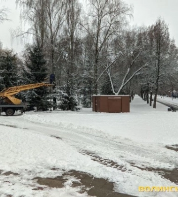 У Луцьку в парку прикрашають ялинки
