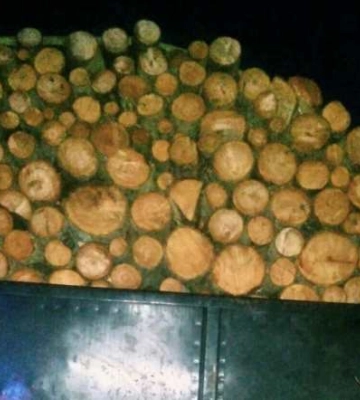 На Ковельщині затримали авто з підозрілою деревиною