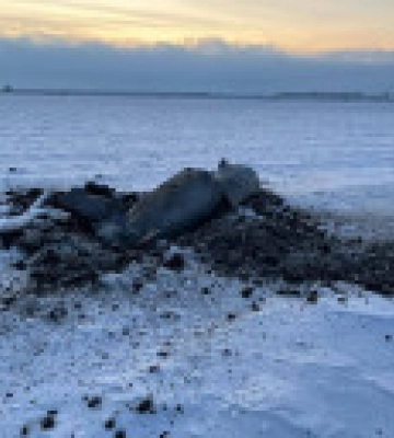 На Київщині виявили ще одну збиту російську ракету
