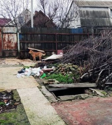 У дворі запорізького будинку знайшли труп у пакеті