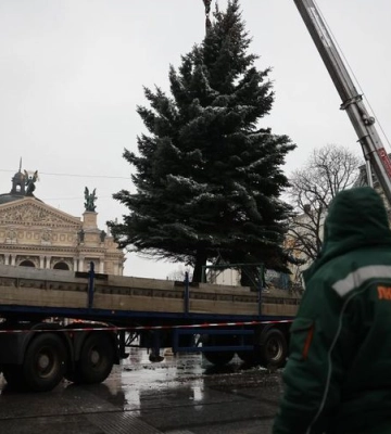 У Львові встановлюють міську новорічну ялинку