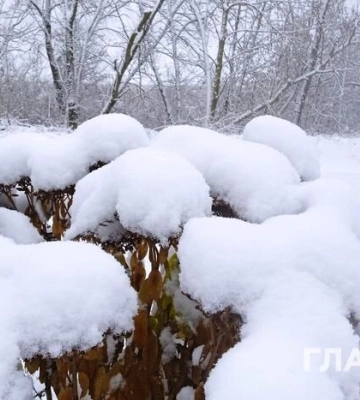 Україну засипе снігом: прогноз погоди на 17 грудня