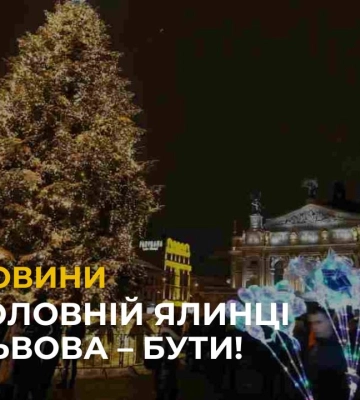 У Львові з 17 грудня можна купити ялинку: адреси