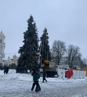 У Луцьку на Театральному майдані прикрашають ялинки