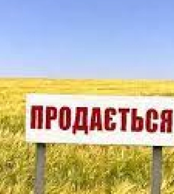 У Жовкві виставили на аукціон земельну ділянку по 32,8 тис. грн за сотку