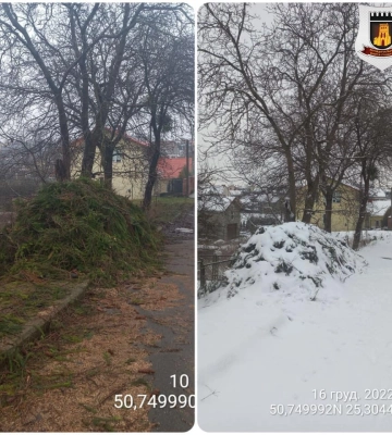 За зрізане дерево лучанин може отримати штраф
