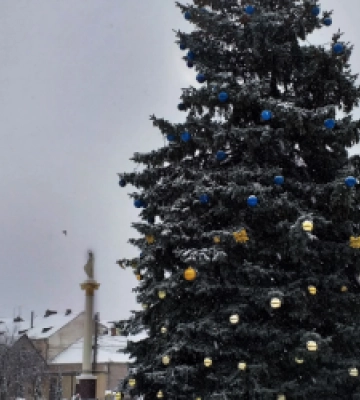 У Бродах міську новорічну ялинку прикрасили кульками в національних кольорах