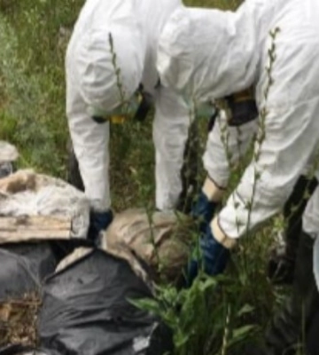 У Сумах ліквідовано понад 20 тонн отрутохімікатів, які роками створювали серйозну загрозу для довкілля