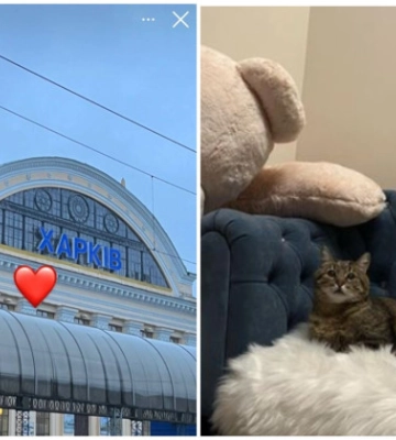 Звезда инстаграмма кот Степан вернулся домой в Харьков, фото