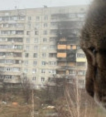 Кот-блогер Степан вернулся в Харьков