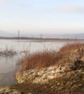 Паводкова ситуація на Закарпатті: Підтоплено чимало дворогосподарств, зруйновані ГТС - подробиці від водників
