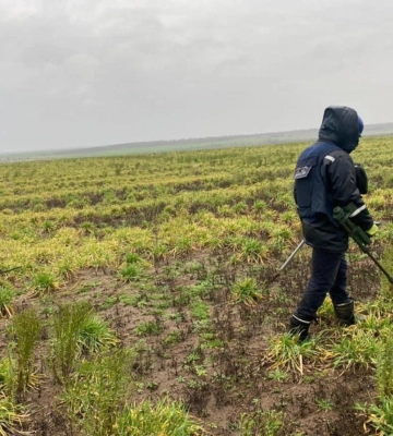 Сапери з Рівненщини обстежили 78 га території на Донеччині