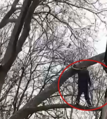 В Одесі працівники ДСНС знімали з дерева чоловіка, якого кохана не пустила через вікно