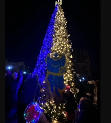 В Киеве зажгли огни на главной елке страны. Ее назвали елкой несокрушимости – фото