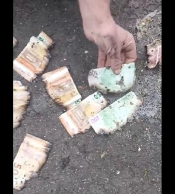 В Тернопольской области в канализации нашли тысячи евро: деньги настоящие (видео)
