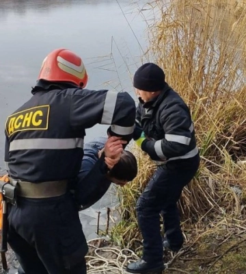 На Кіровоградщині чоловік намагався допомогти лебедям і сам втрапив у халепу (ФОТО)