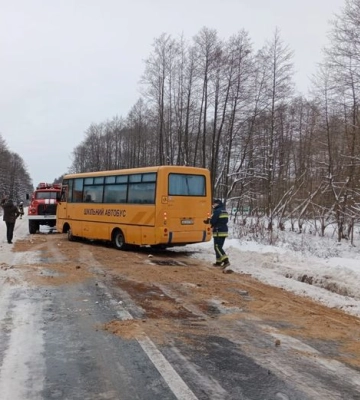 Дорога на Березне вкрита льодом: на відео зняли, як вантажівка з`їхала у кювет