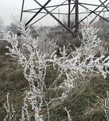 Погода в Кривому Розі 21 грудня