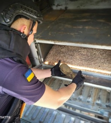 Небезпечна знахідка біля Драгобрата: у лісі на Закарпатті виявили міну часів Другої світової війни