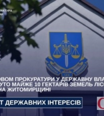 Суд повернув державі майже 10 гектарів лісу на Коростенщині, які незаконно віддали приватному підприємству