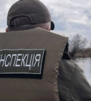 Уничтожены леса и отравленные реки: экоинспекторы разоблачили самые громкие экологические преступления недели