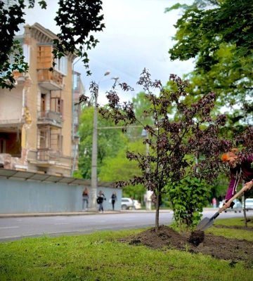 В Одесі зацвітуть яблуні в пам’ять про загиблих від агресії рф дітей