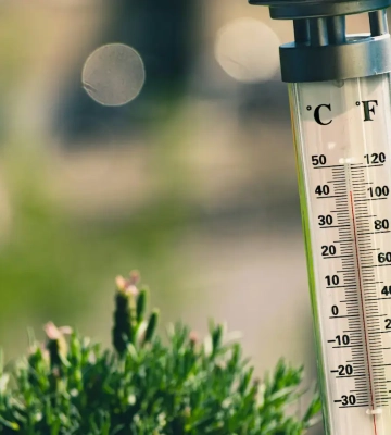 Какой будет погода летом в Украине: синоптик развенчал мифы о жаре +50 °C и аномальной засухе