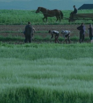 Національний конкурс Docudays UA: від загального до конкретного, від конкретного до глобального