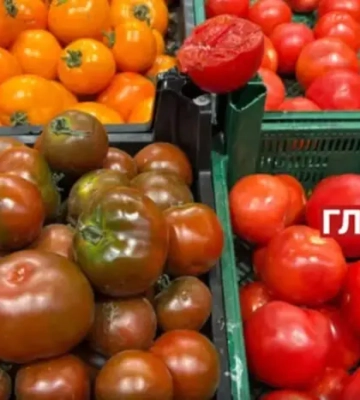 В Україні дешевшають помідори: ціни та причина