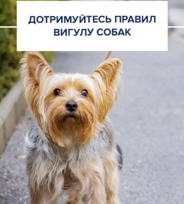У поліції нагадали правила вигулу собак