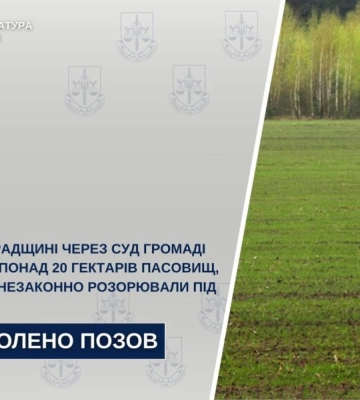 Через суд громаді на Кіровоградщині повернули 20 гектарів пасовищ, які незаконно розорювали
