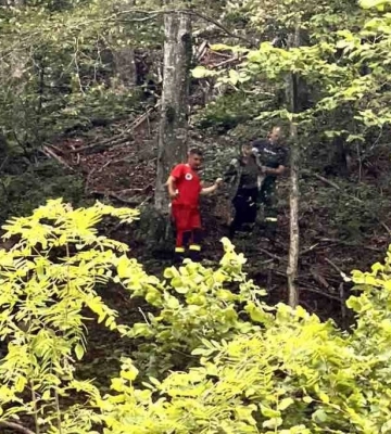 На Закарпатті чоловік загинув через падіння дерева