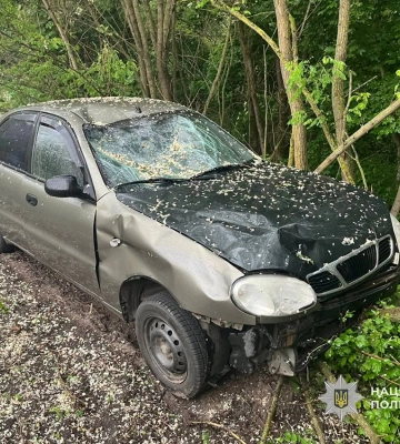На Чернігівщині водій мопеду загинув у ДТП внаслідок власної необачності